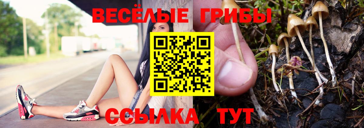 Губкинский  Галлюциногенные грибы Magic Shrooms  Вход с VPN 